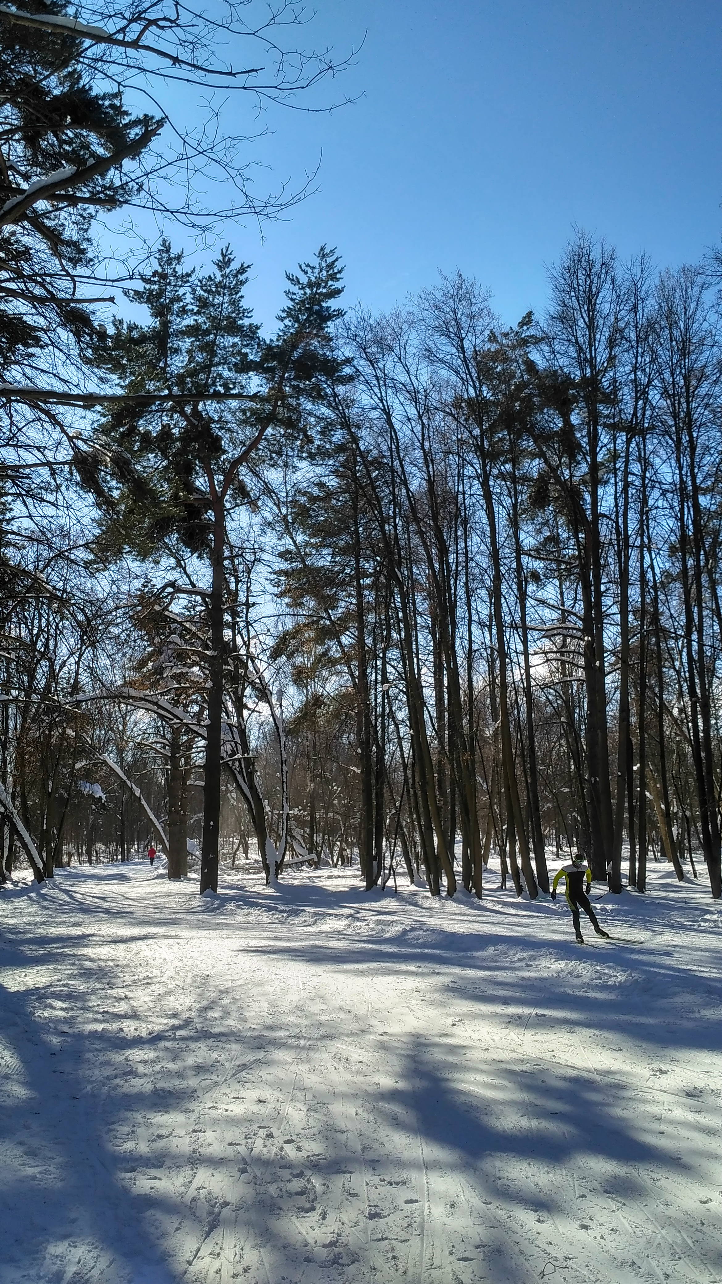 Лыжная трасса Волкуша 8 марта 2018 года