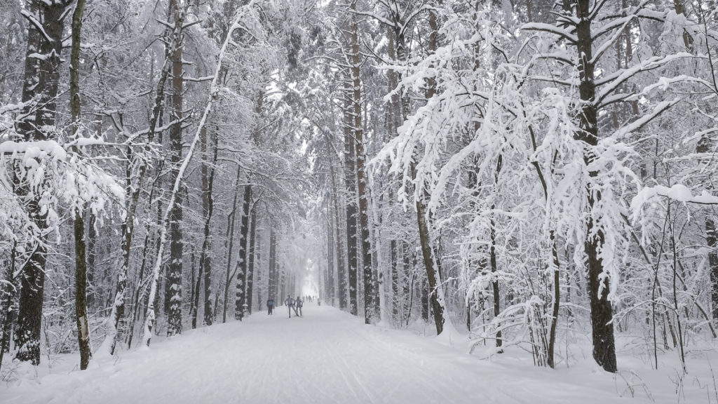 Лыжная трасса в парке Мещерский после снегопада