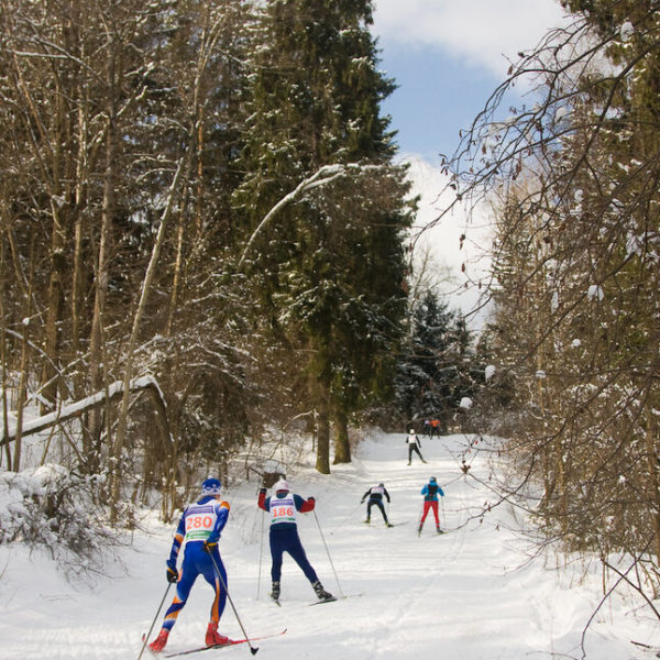 лыжный марафон. Красногорск